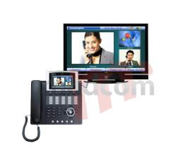 AP-VP250  